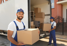Avantec Transportes mostra como o transporte de acervos exige máxima confiabilidade e técnica especializada para preservar cada item.