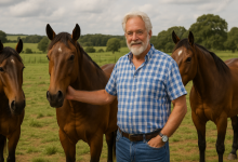 Os avanços em sanidade e imunidade dos cavalos crioulos vêm sendo comprovados pela ciência, afirma Aldo Vendramin.
