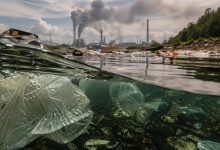 Odair José Mannrich