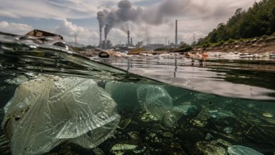 Odair José Mannrich