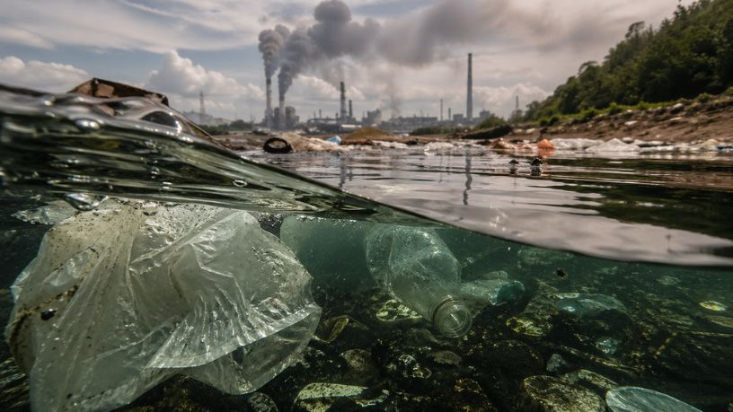 Odair José Mannrich